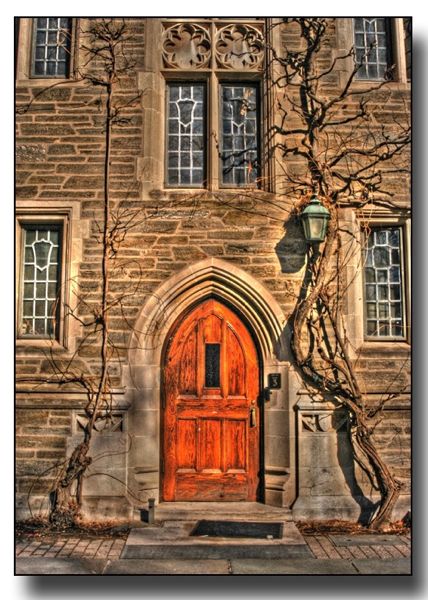 プリンストン大学